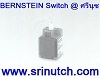 6008101001 C2-U1Z BERNSTEIN Limit Switch @ SRINUTCH